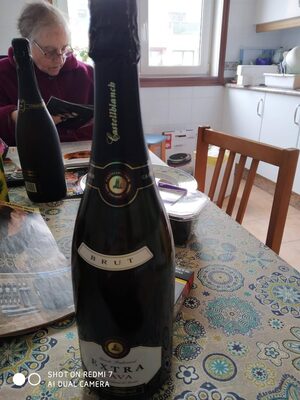 PJENUŠAC CASTELLBLANCH EXTRA BRUT 0.75 (6)