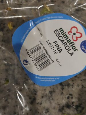 SALATA FRISEE - KOM KL I