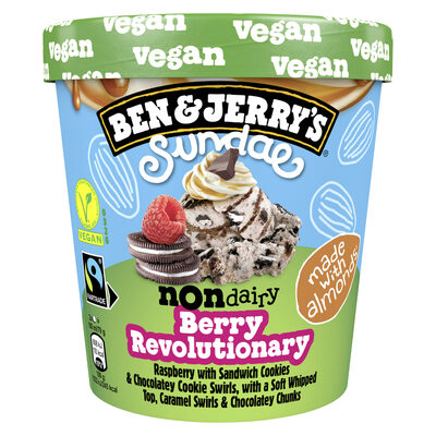 BEN JERRY'S NON DAIRY BERRY 427 ML